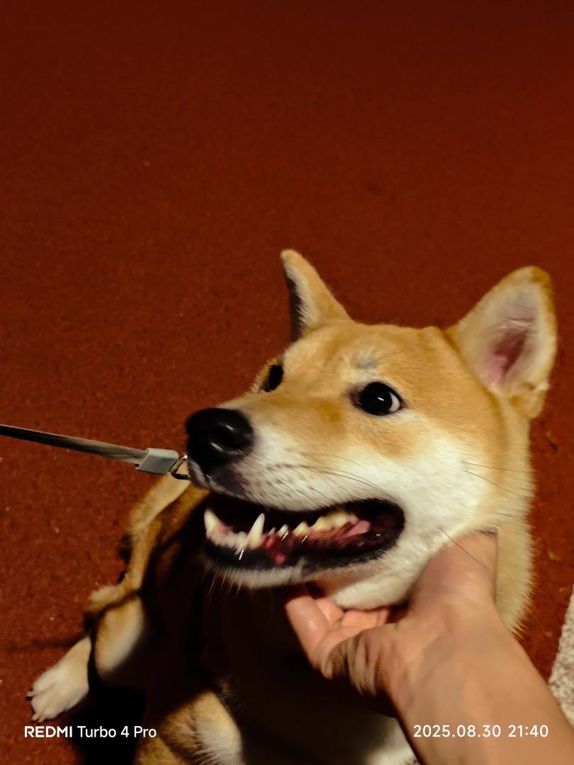 1000062365