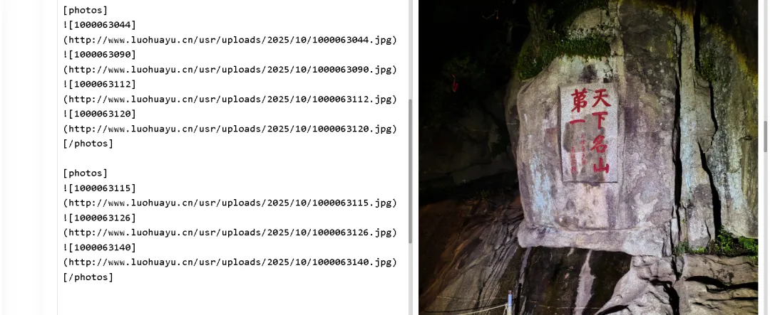 1000063717