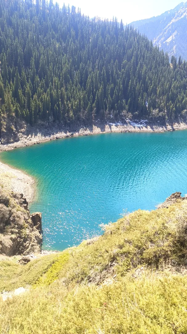 wx_camera_1714543829718